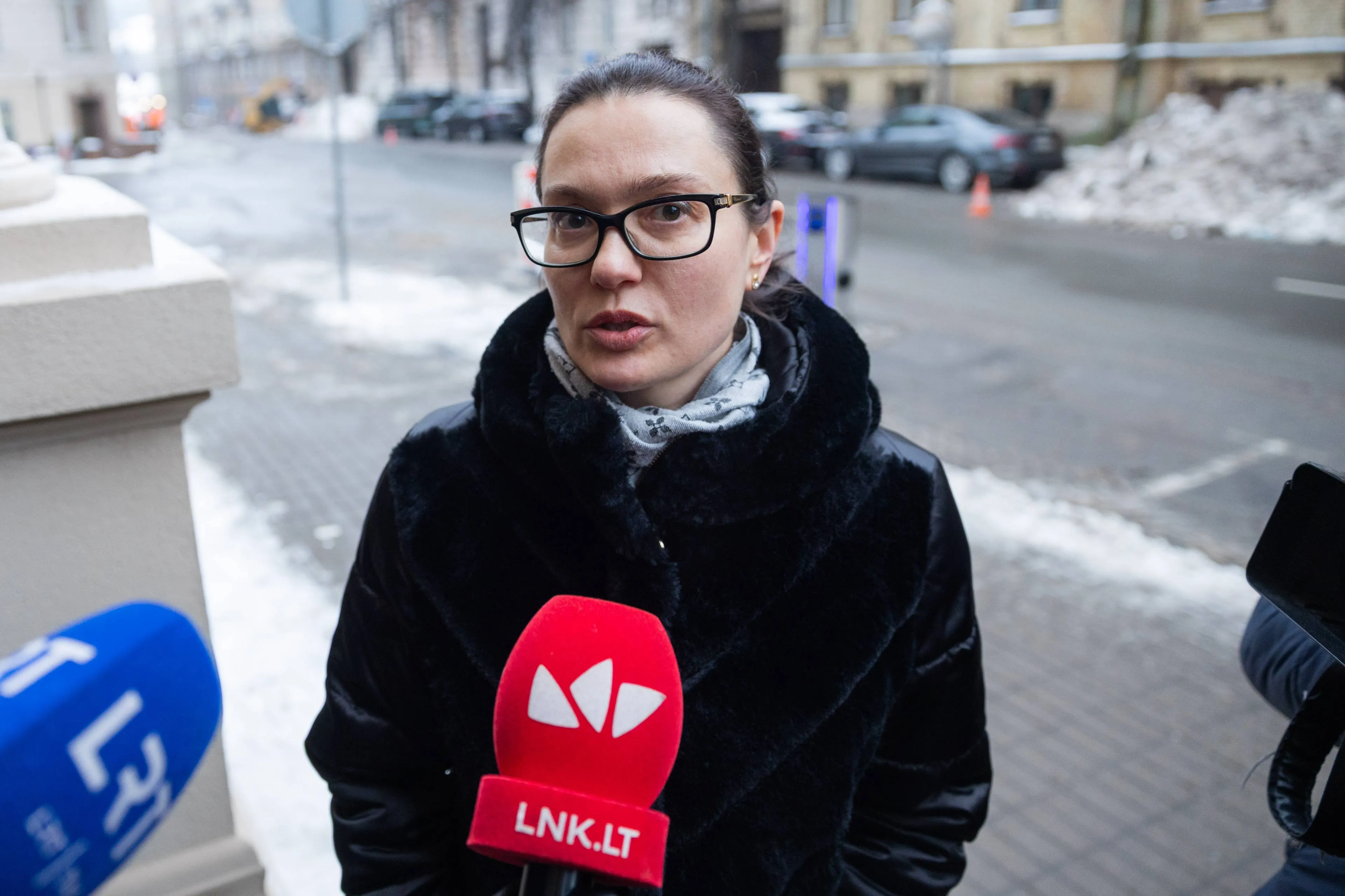 Agnė Silickienė / BNS nuotr.