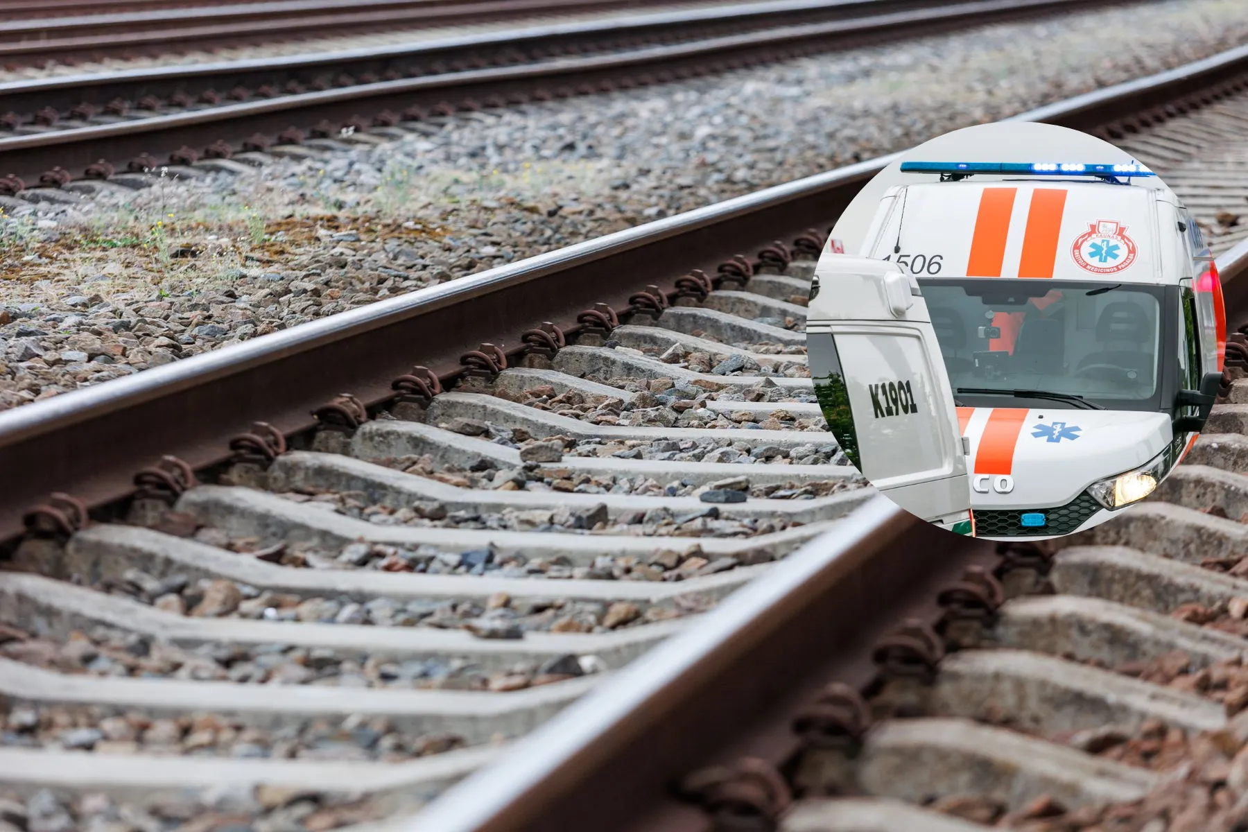 Asociatyvi / R. Tenio nuotr.