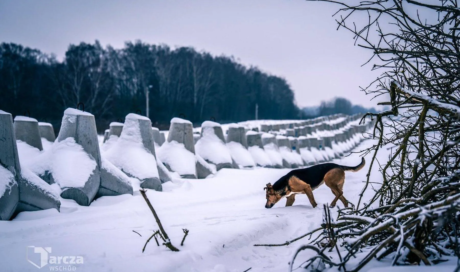 Lenkija tvirtina savo sienas su Rusija ir Baltarusija