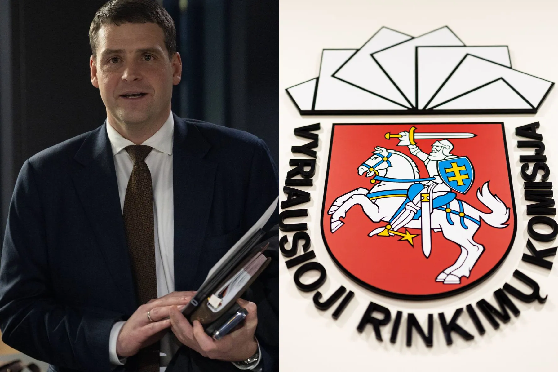 Remigijus Žemaitaitis, Vyriausioji rinkimų komisija