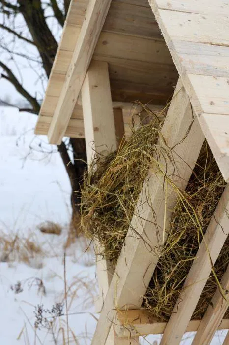 Garliavos apylinkėse įrengtos stirnų šėrimo vietos