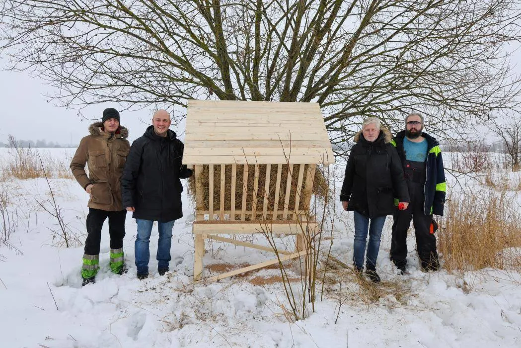 Stirnų šėrimo vietų įrengimas