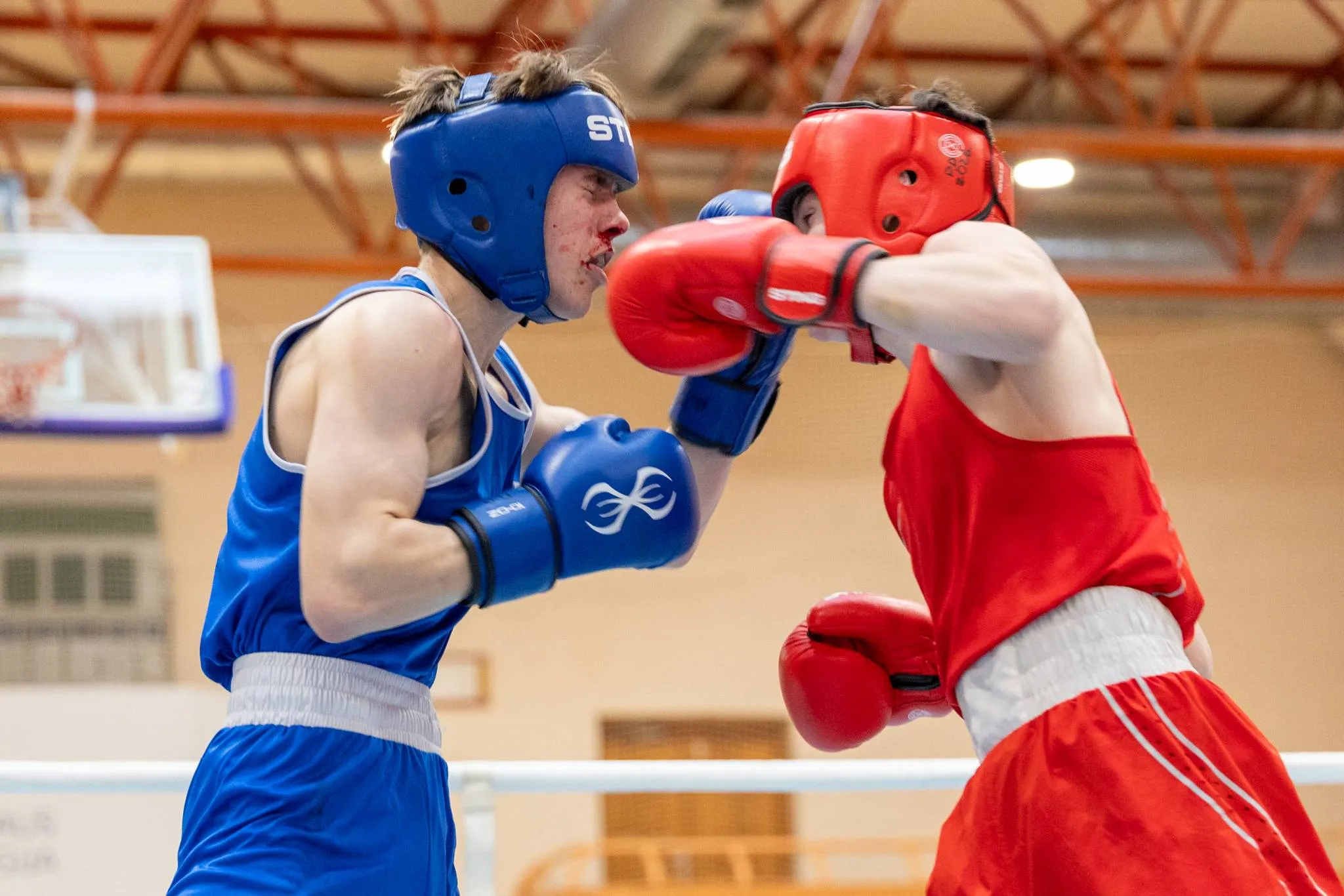 Boksas, bokso turnyras