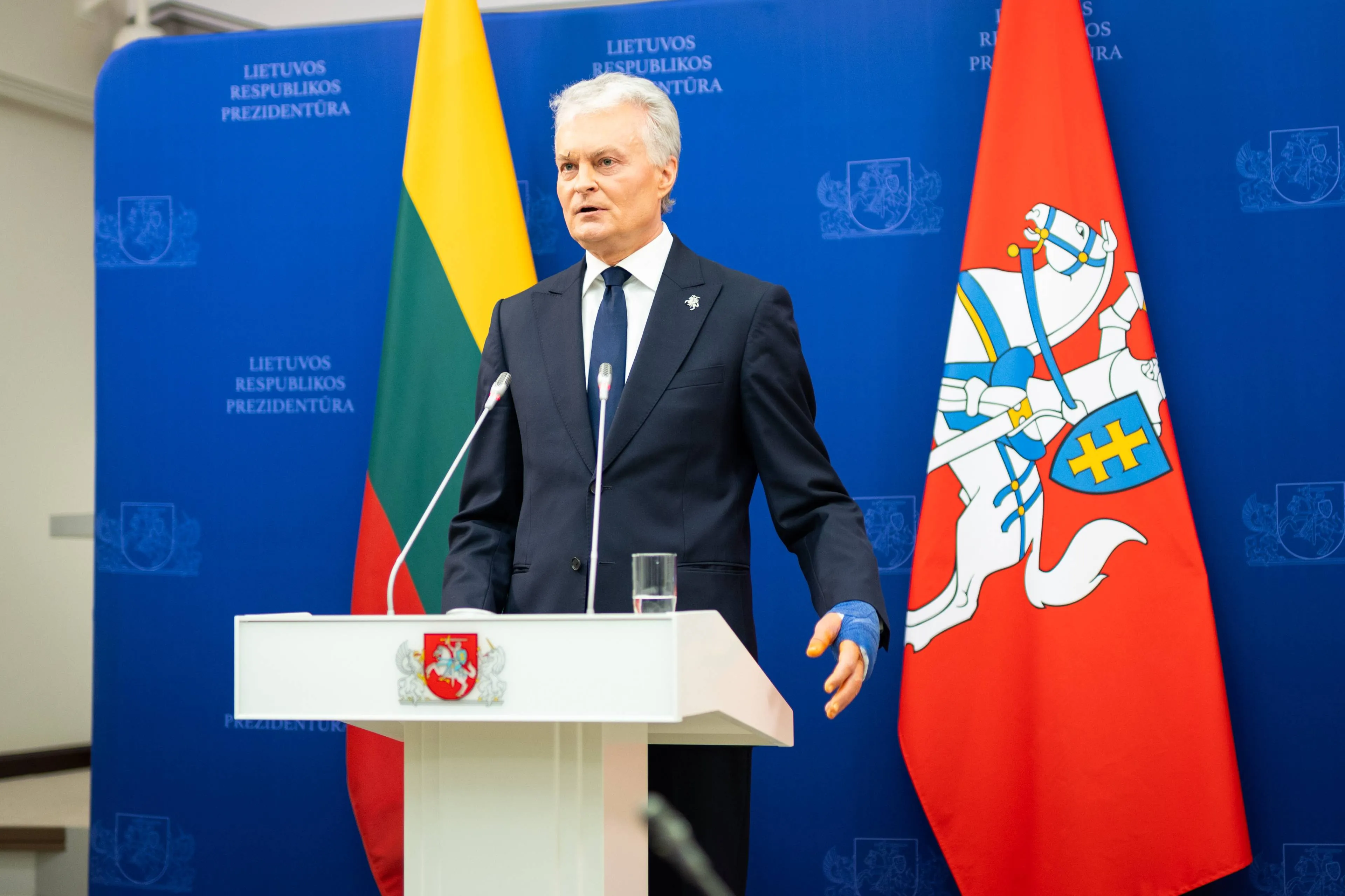 Gitanas Nausėda / BNS nuotr.