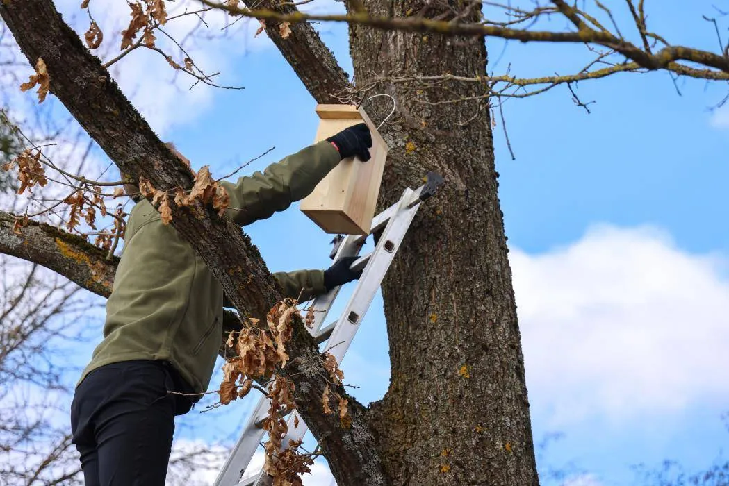 Kauno rajone – inkilų kėlimo akcija