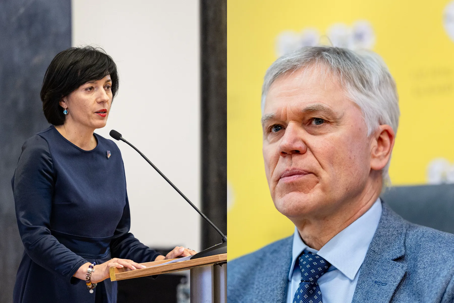 Vaida Aleknavičienė, Audrius Valotka