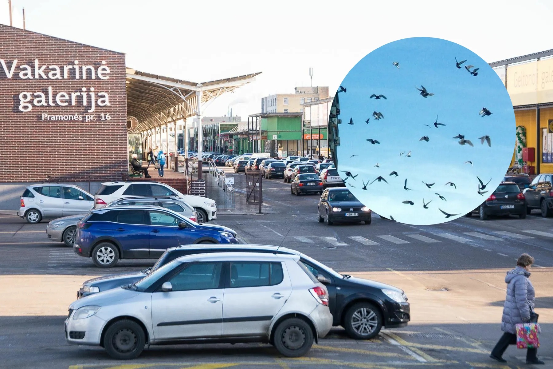 Asociatyvi / Archyvo nuotr.