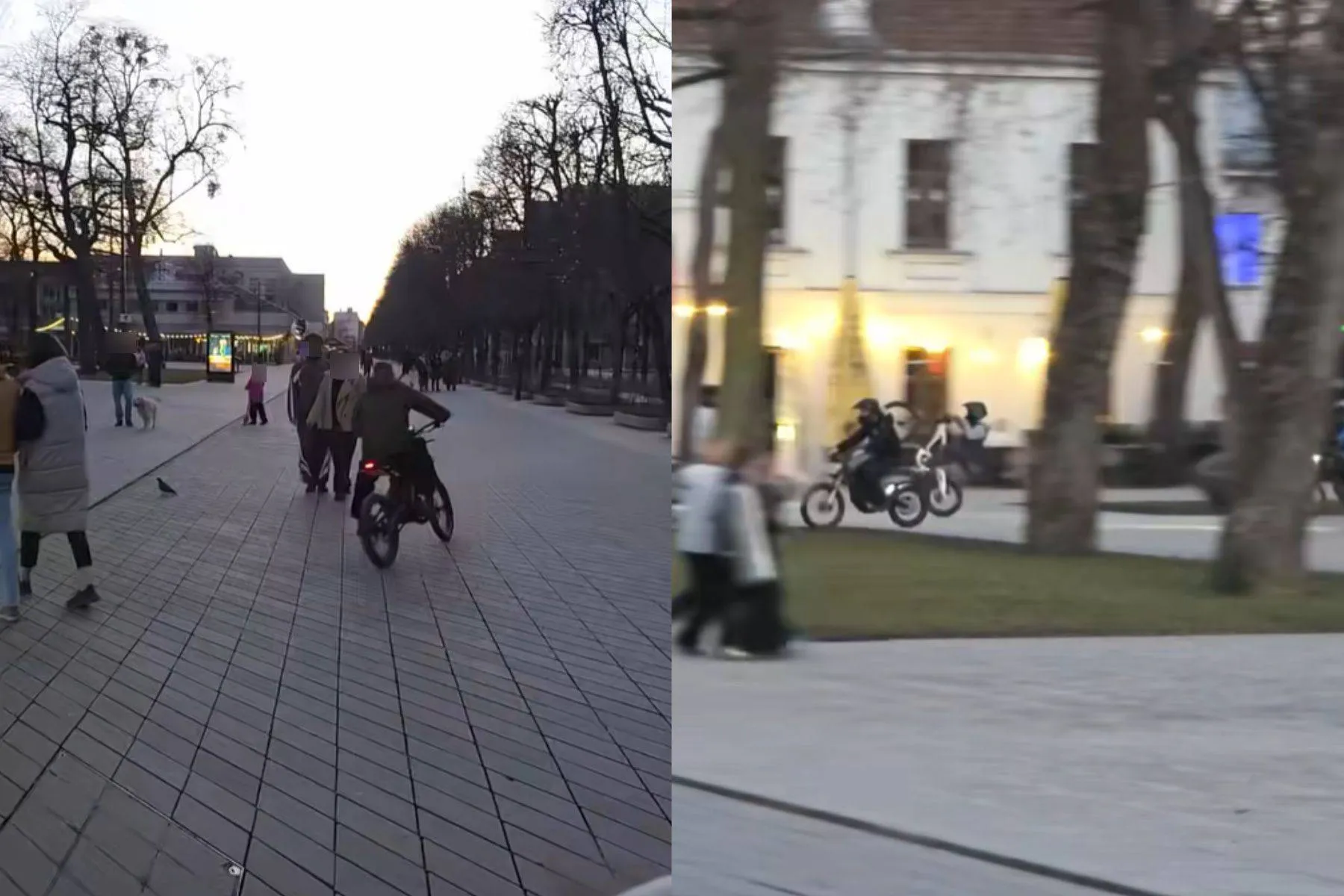 El. dviračiaia Laisvės al