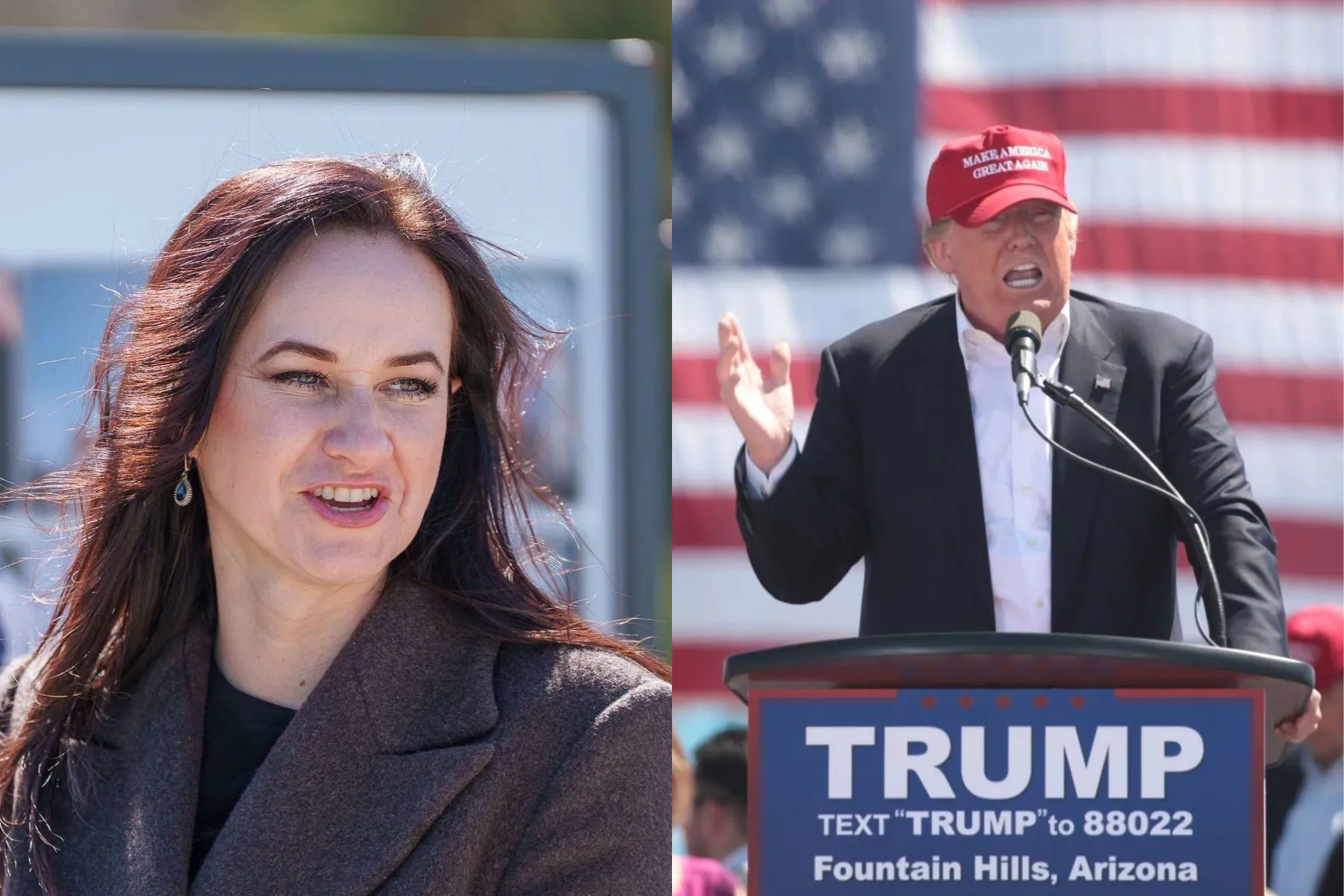 Inga Ruginienė, Donaldas Trumpas