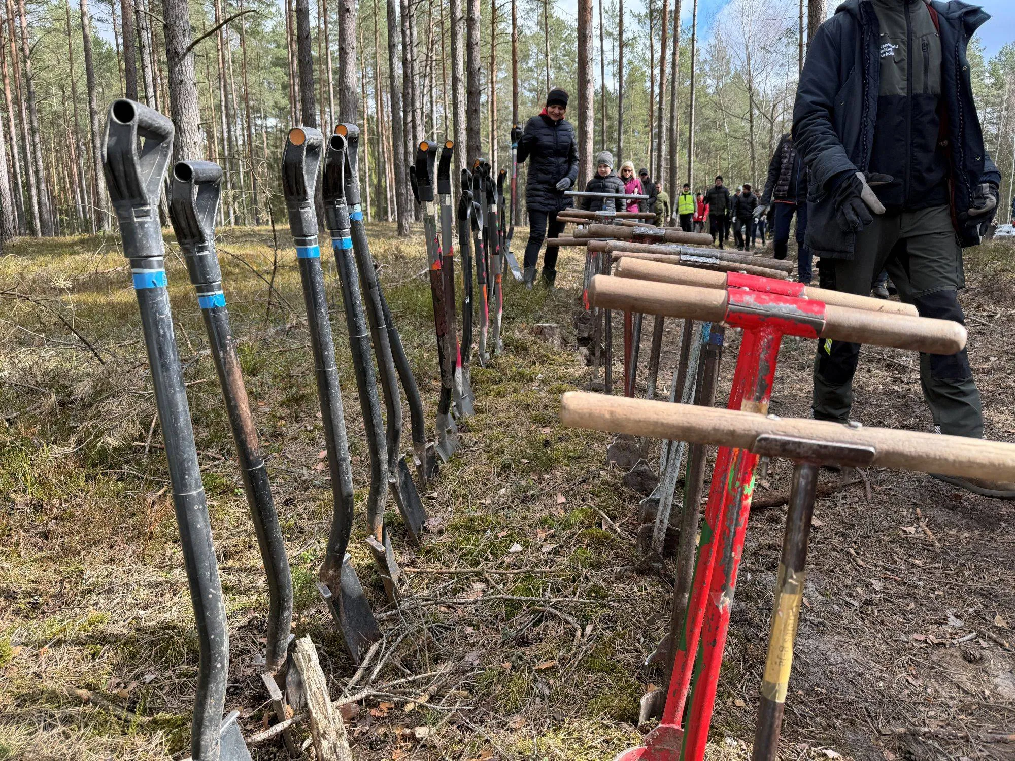 Miškasodis Kaune / Organizatorių nuotr.