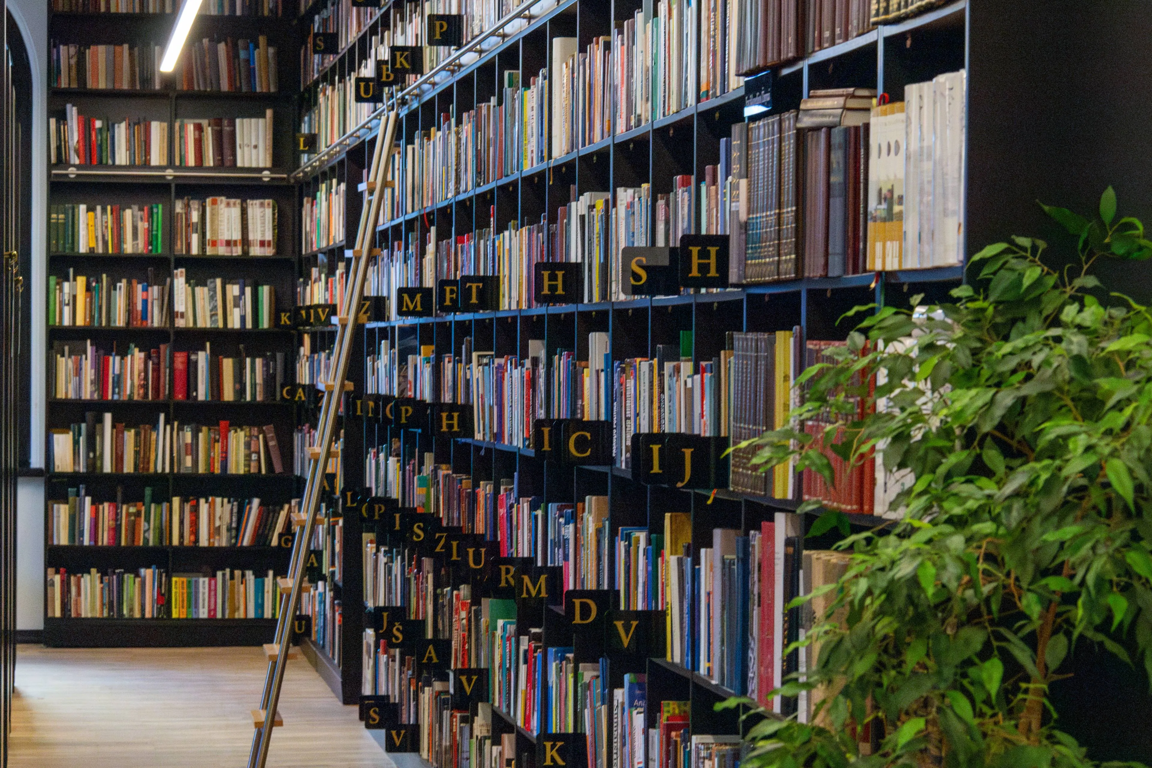 Vinco Kudirkos biblioteka 2026 04 23 Gimtadienis 101 masis