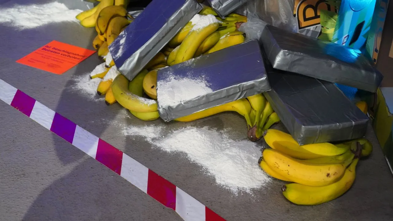 Vlissingen: 3600 kilo cocaïne gevonden tussen lading bananen
