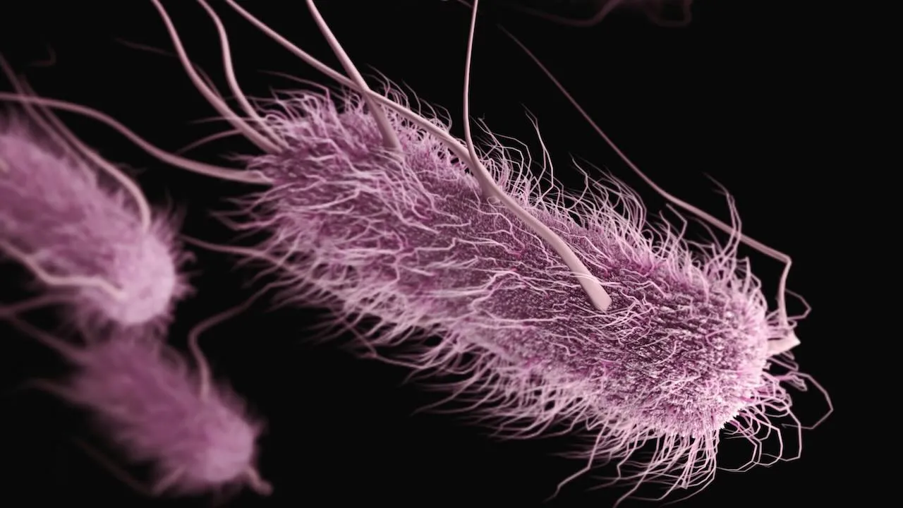 Vleesetende bacterie grijpt om zich heen in Japan