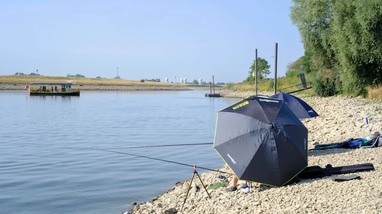 Weerverwachting voor juli en augustus 2024: de zomer komt eraan