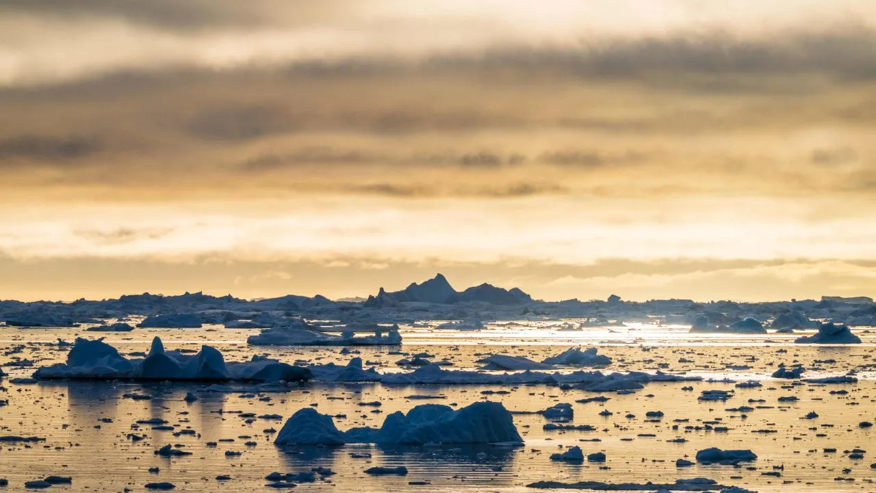 Nieuwe studie toont nóg een negatief gevolg aan van klimaatverandering