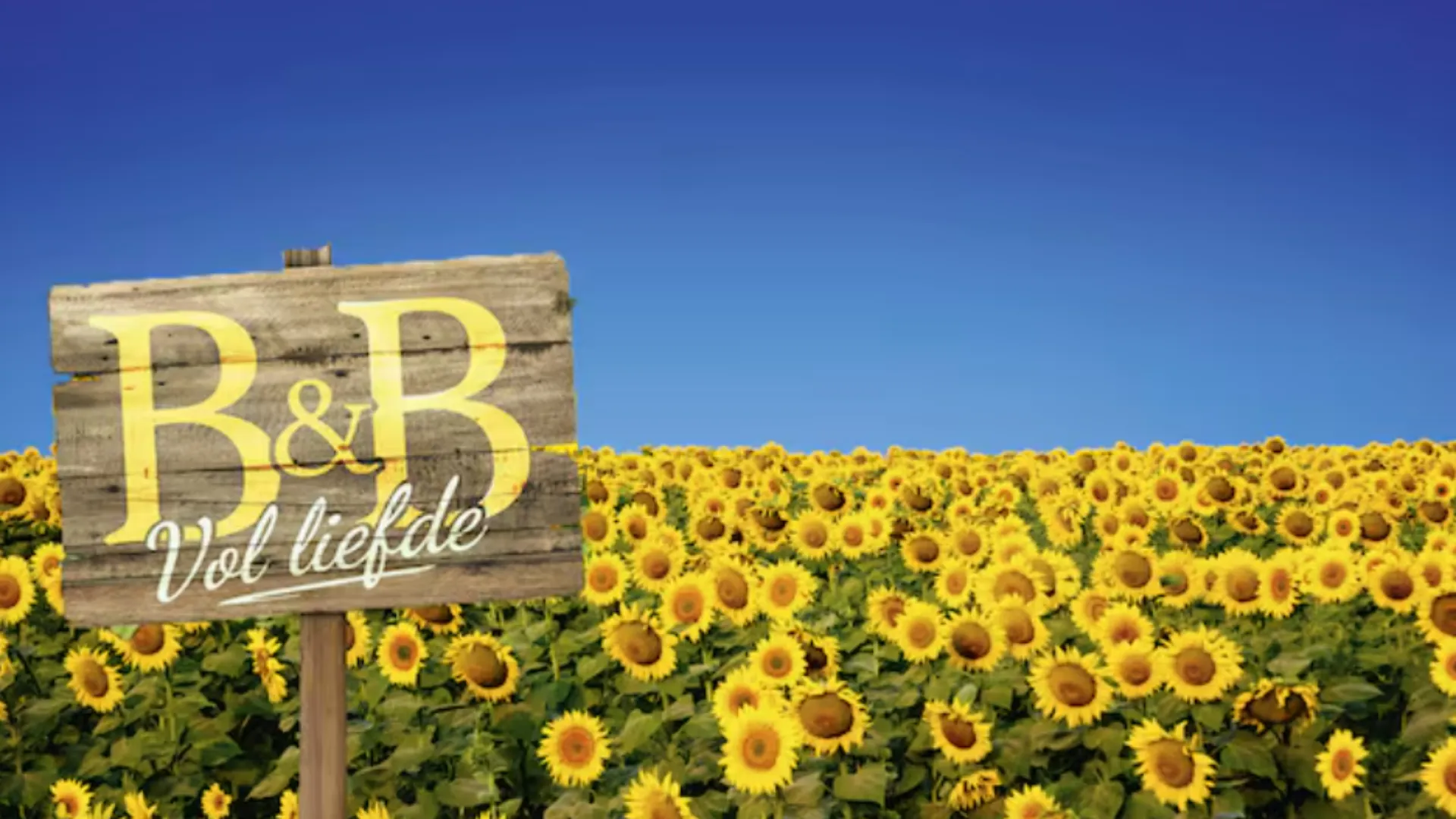 B&B Vol Liefde-deelneemster blijkt zwanger te zijn