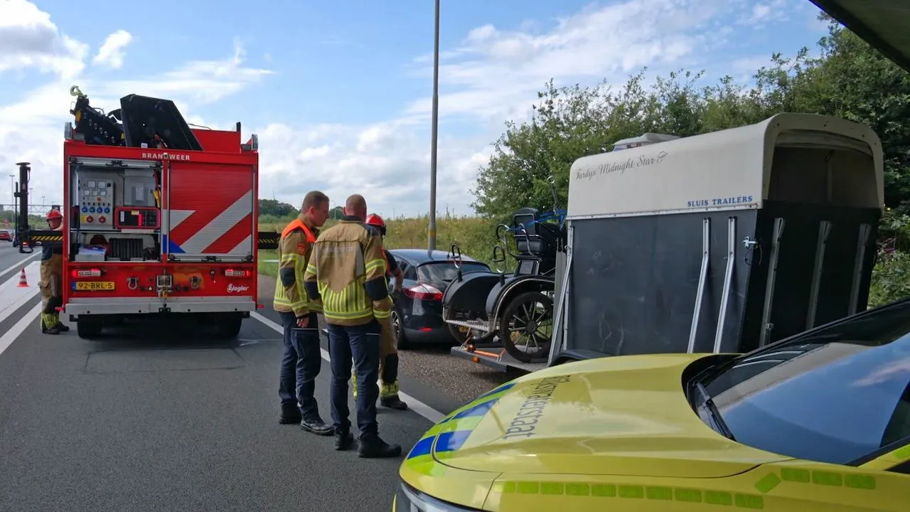 Schokkend ongeluk: Paard zakt op snelweg Breda door trailer en sterft ter plekke