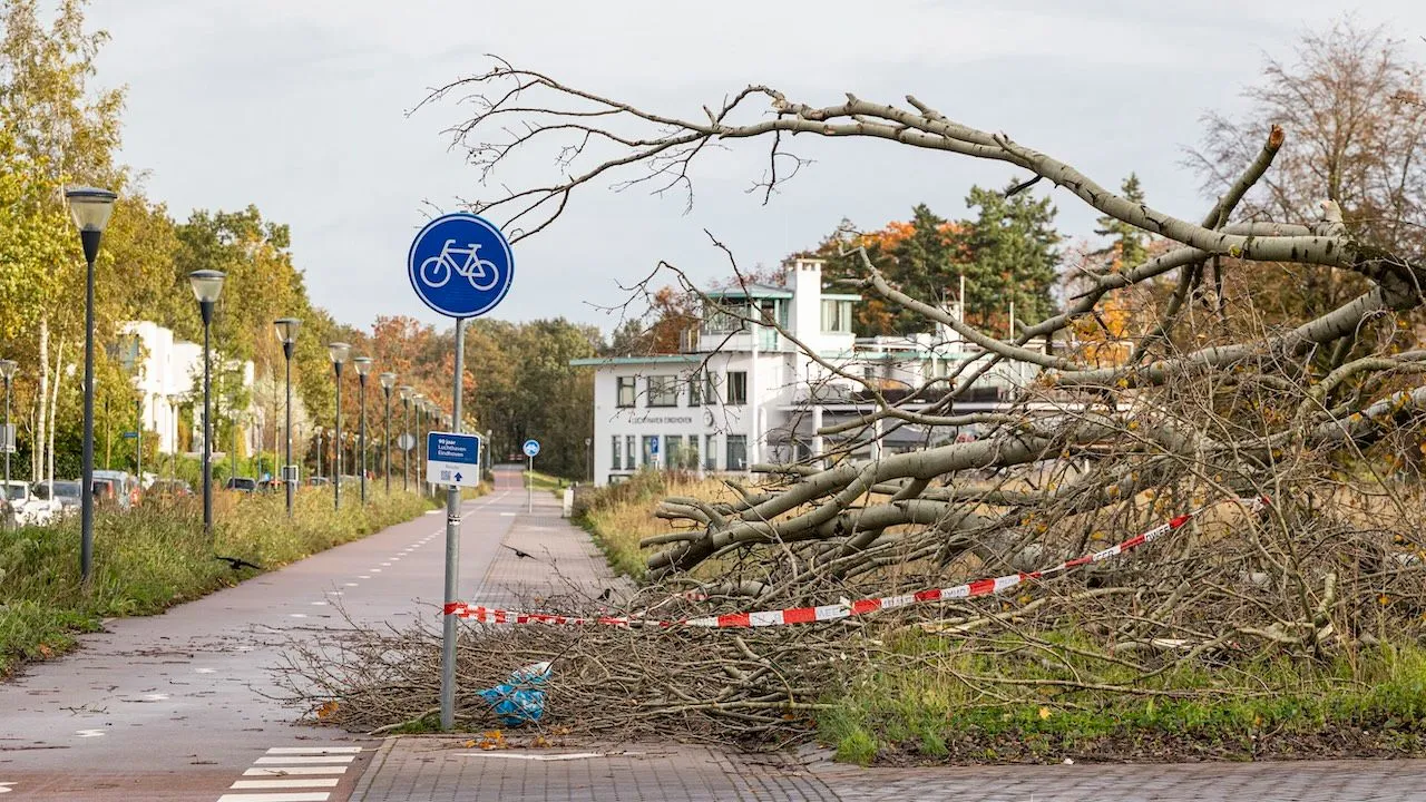 Het weer slaat om: op deze datum storm verwacht