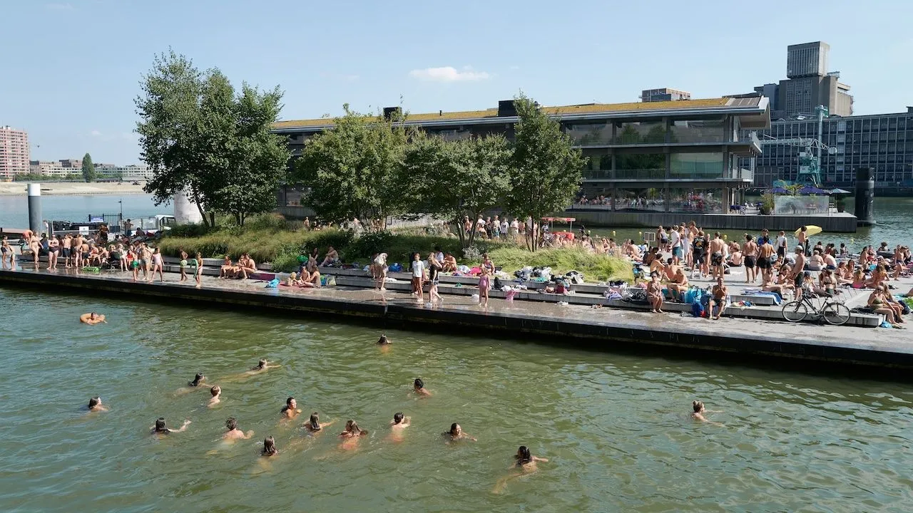 zomer in rotterdam