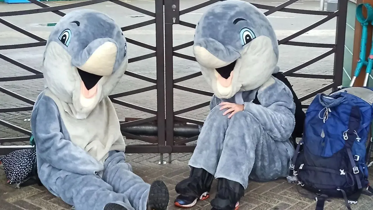 Dierenleed in Dolfinarium: toegang voor bezoekers geblokkeerd
