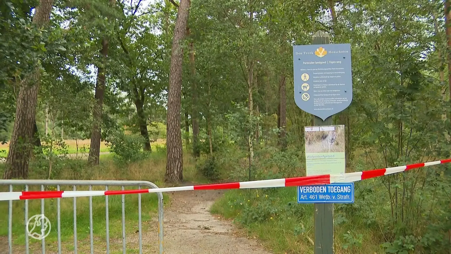 Wolf valt mensen aan in Zwolse Bos, incident verzwegen door instanties