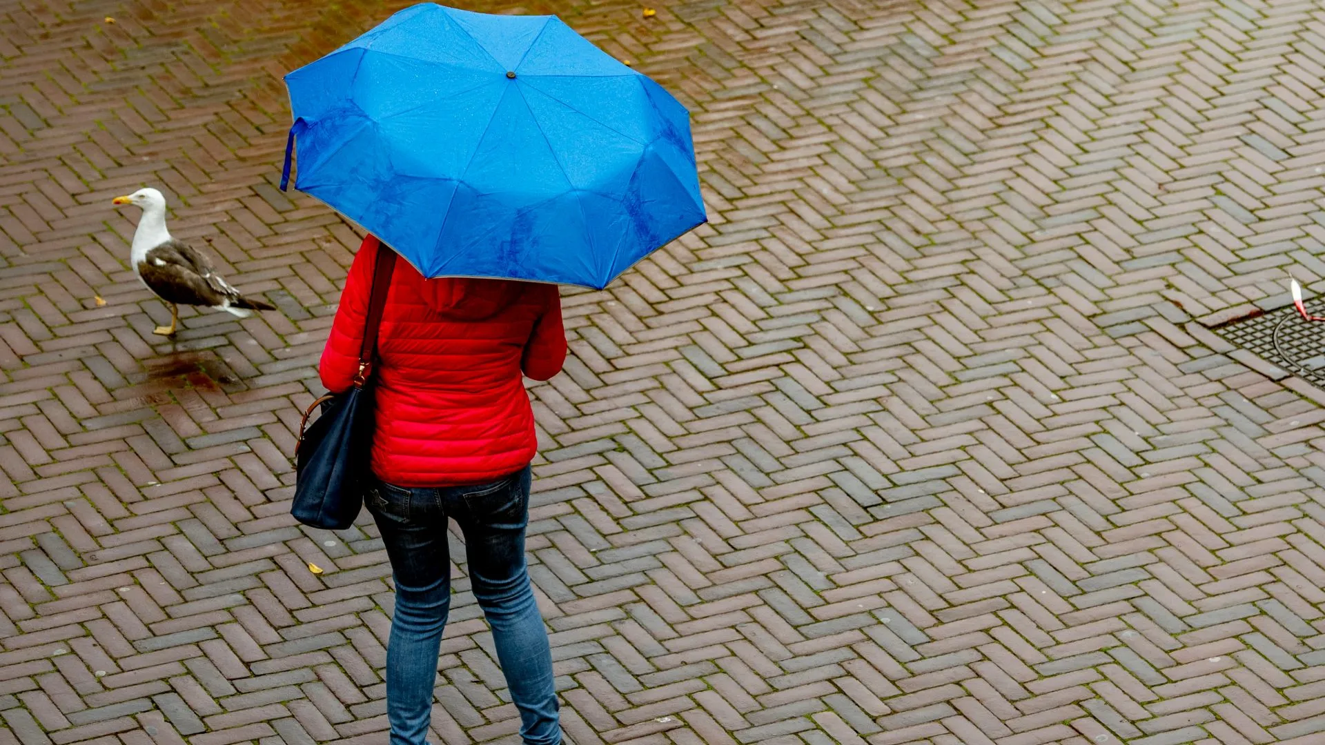 Orkaan Kirk onderweg naar Nederland: dit staat ons te wachten