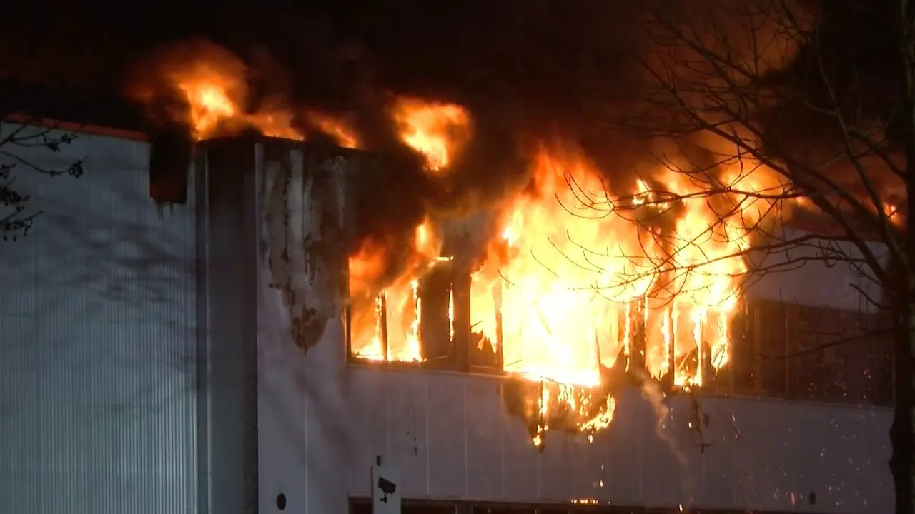brand goes zes