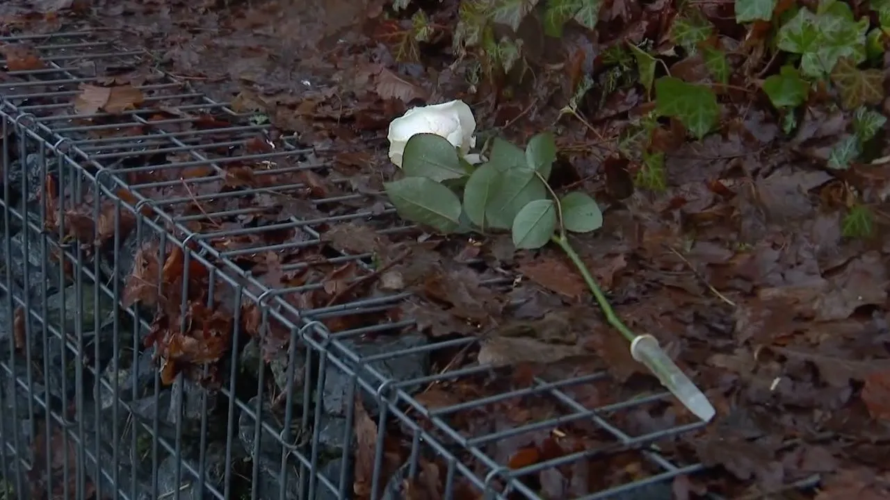 Vrouw (76) uit Den Dolder zomaar neergestoken door patiënt: 'Bewust het bos niet in'