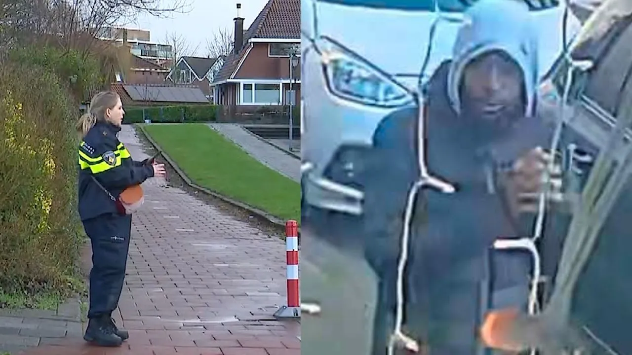 serie moordenaar rotterdam