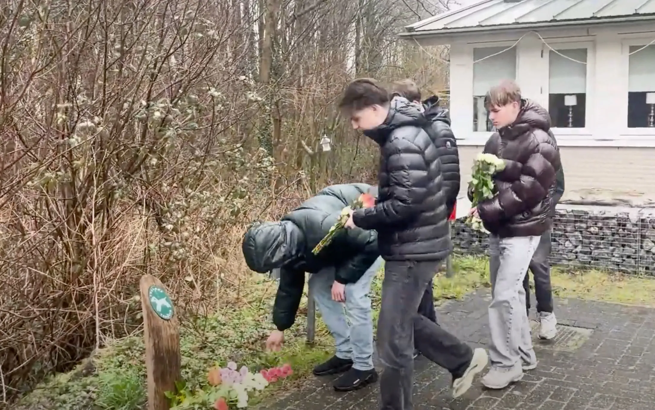 schermafbeelding 2025 02 26 om 154613jpg