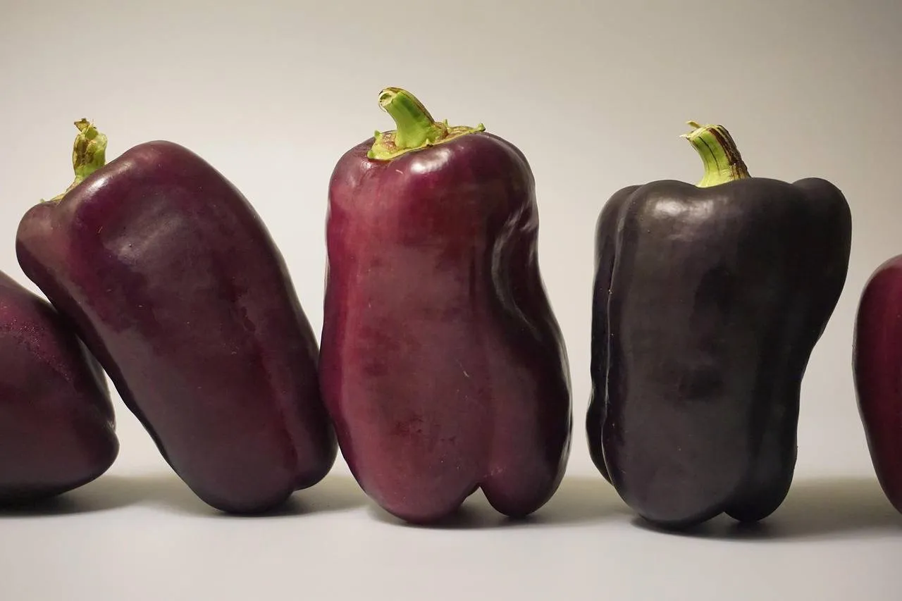 Image laatstenieuws.nl