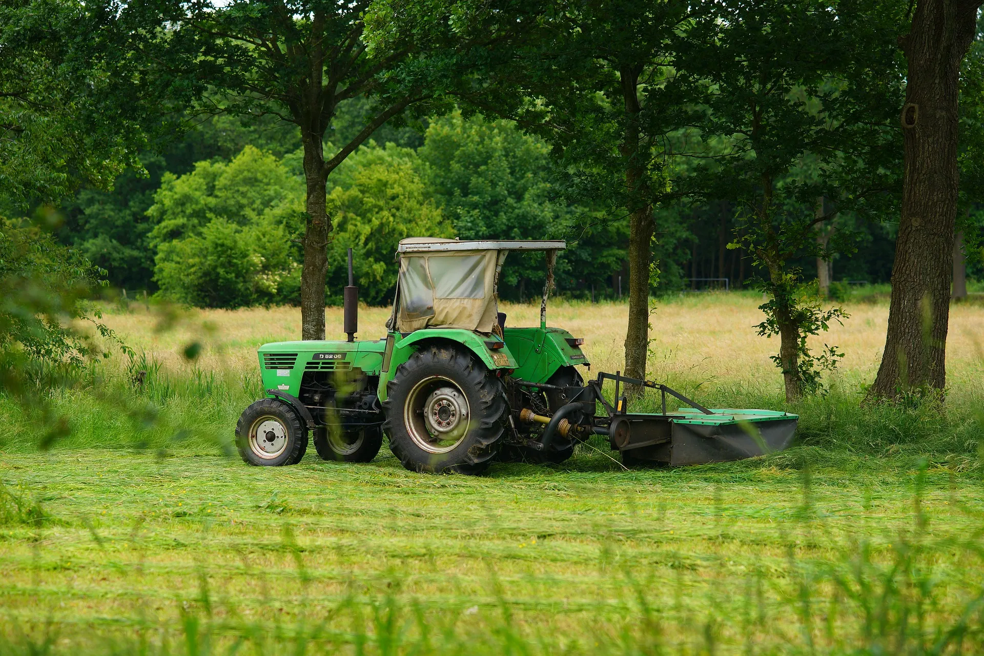 agriculture 4278577 1920