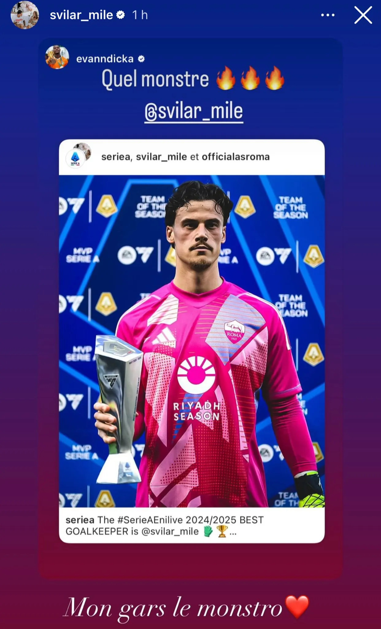 instagram ndicka svilar