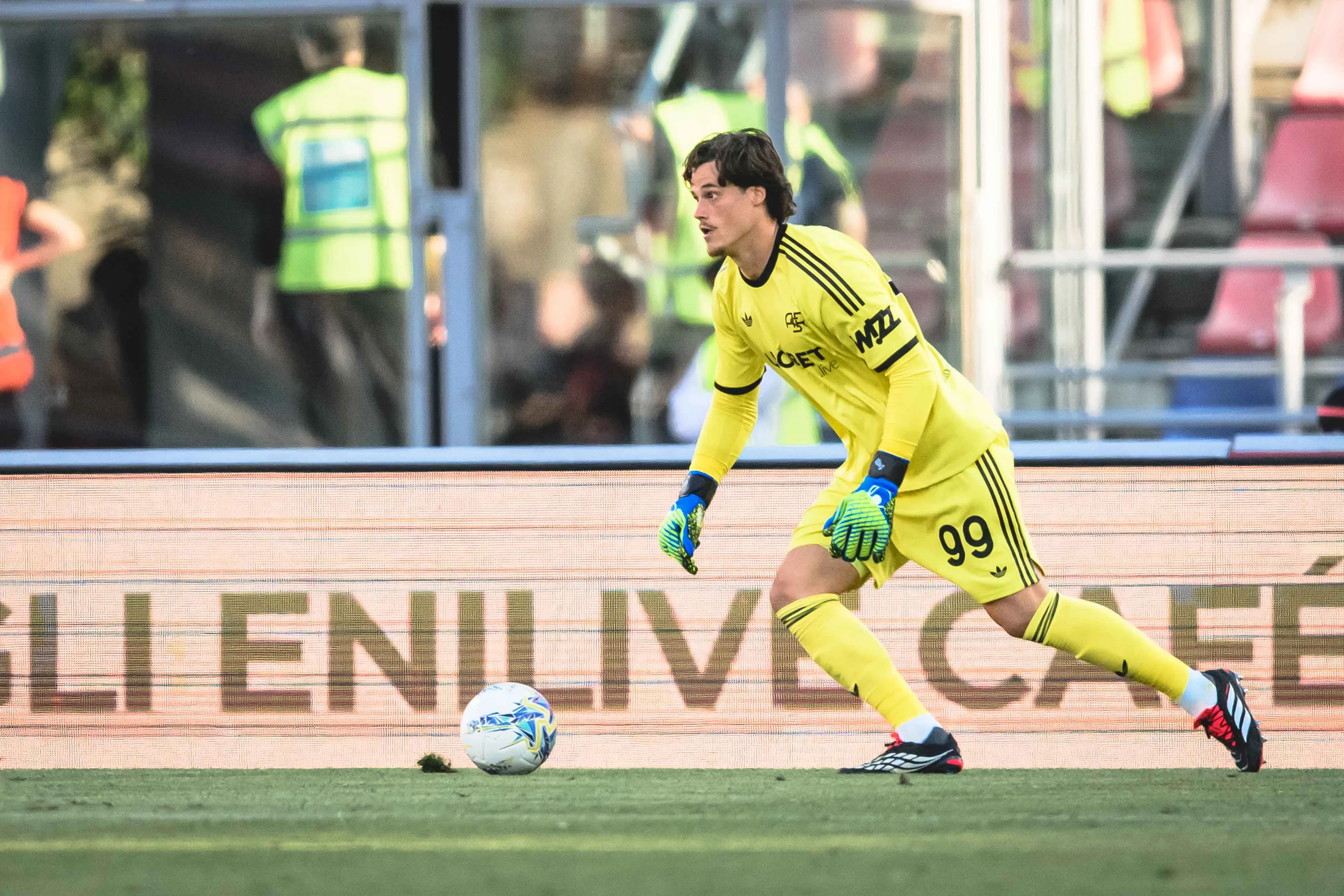 svilar 2