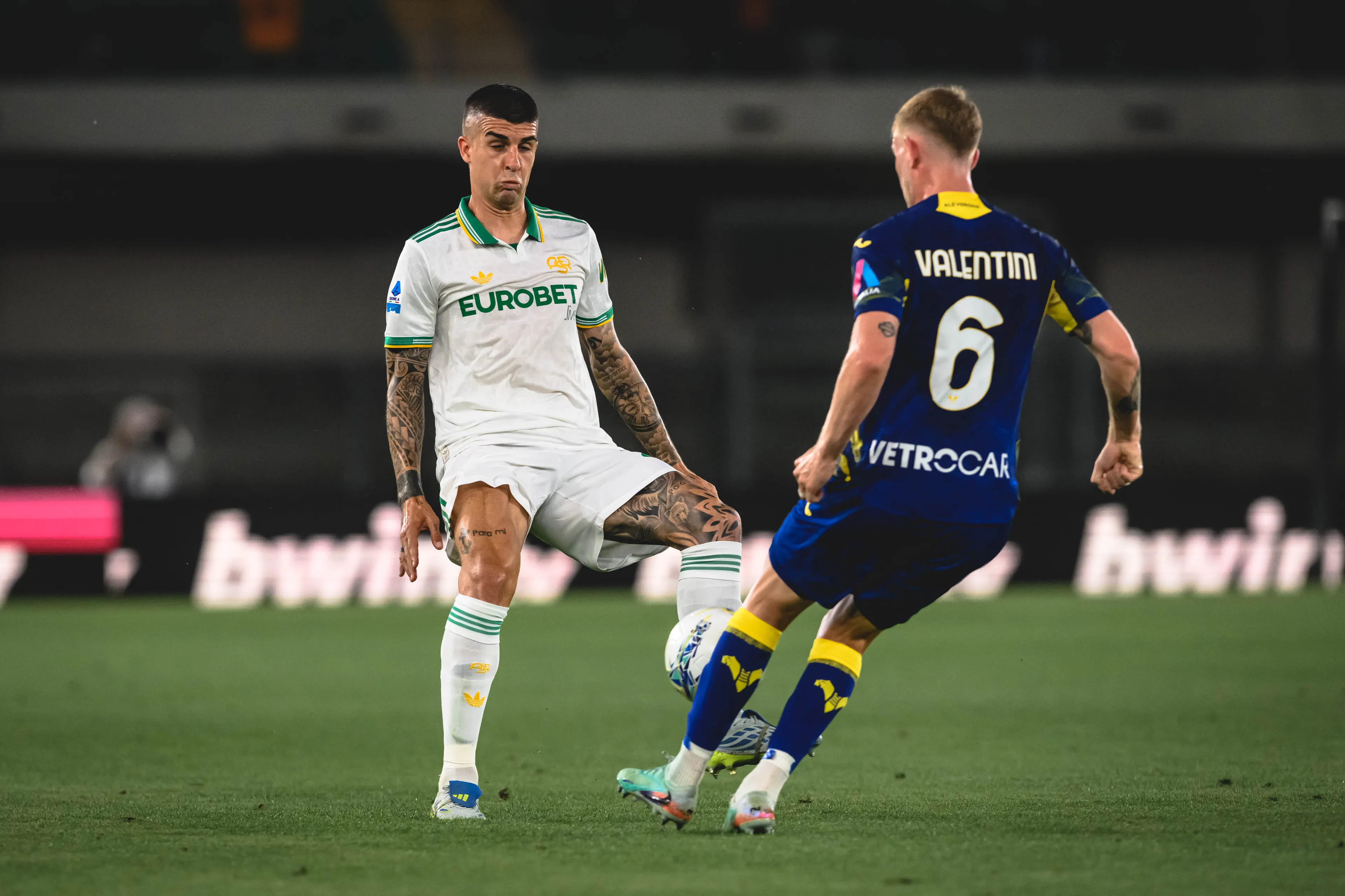 hellas verona roma mancini