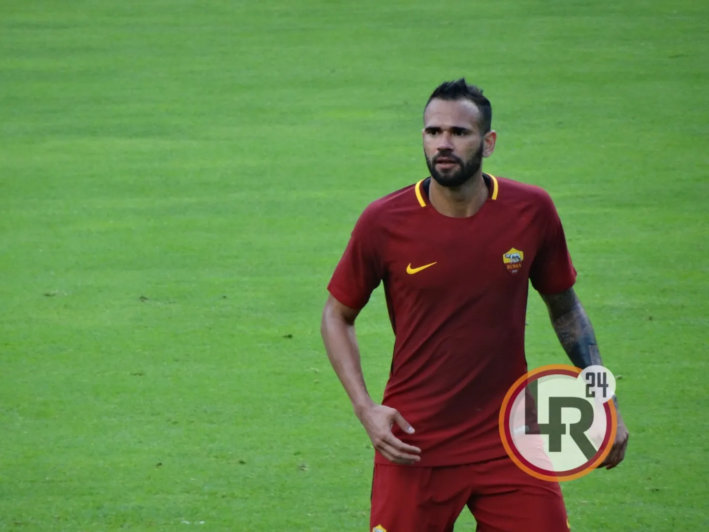 castan ottima