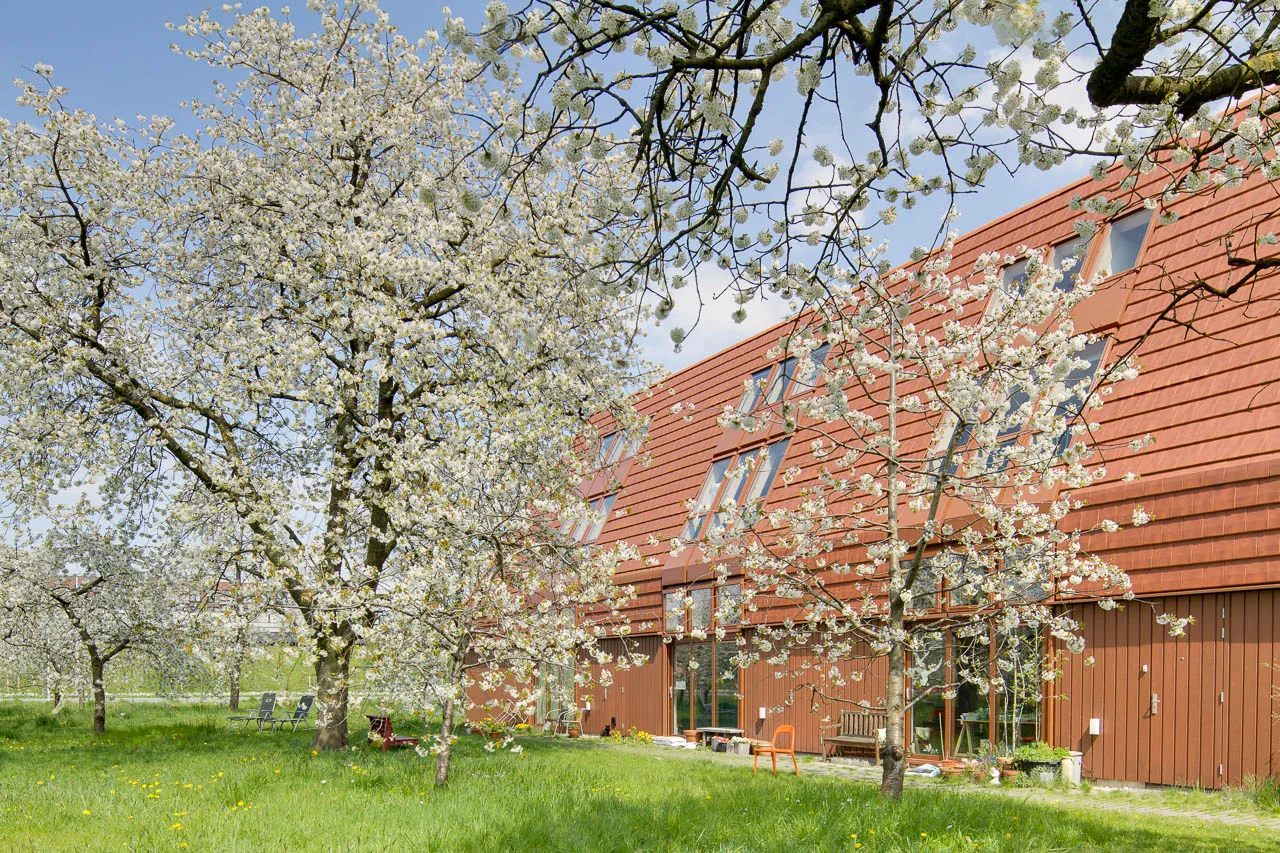 atelierwoningen