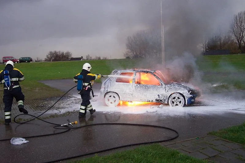 autobrand7