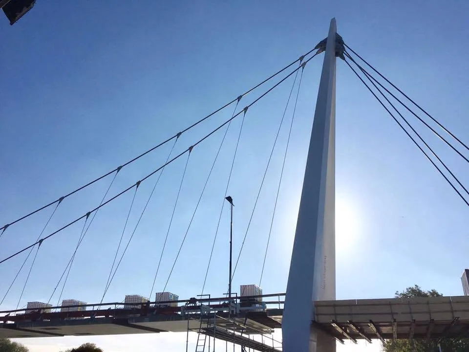 dsbrug1