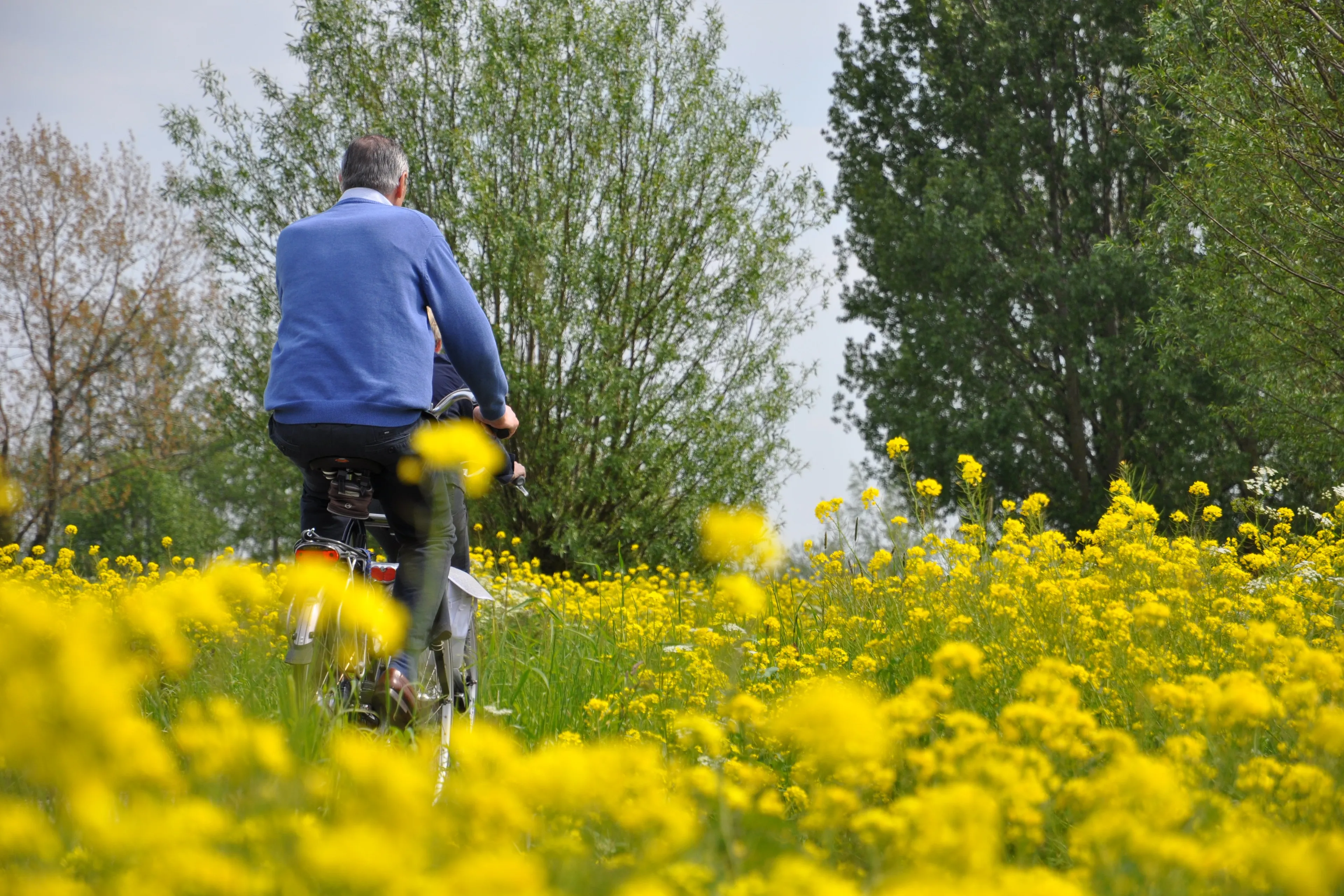 fietsers
