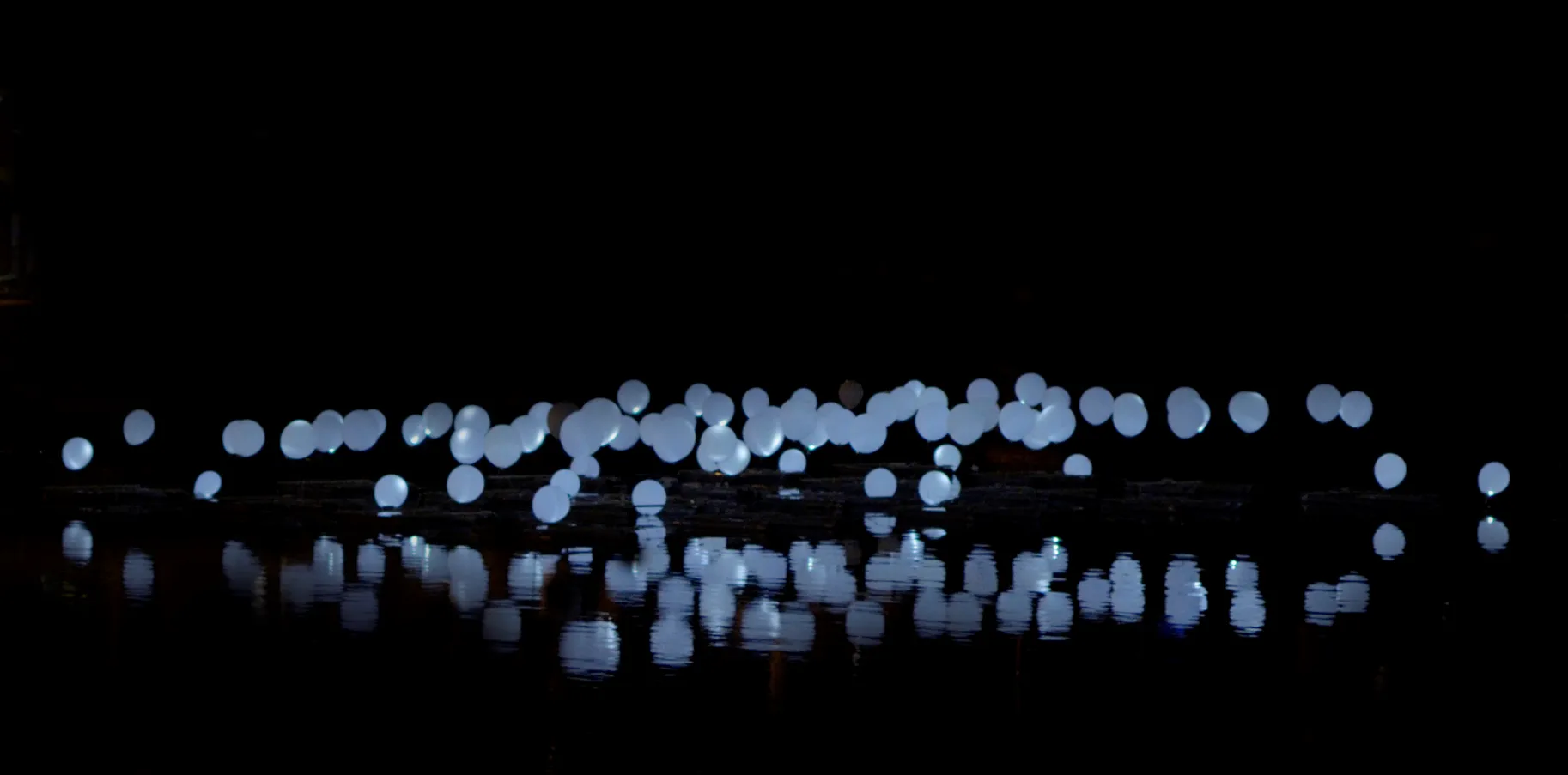 gardendelight