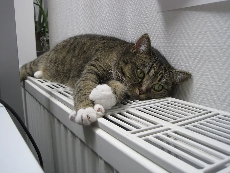verwarming