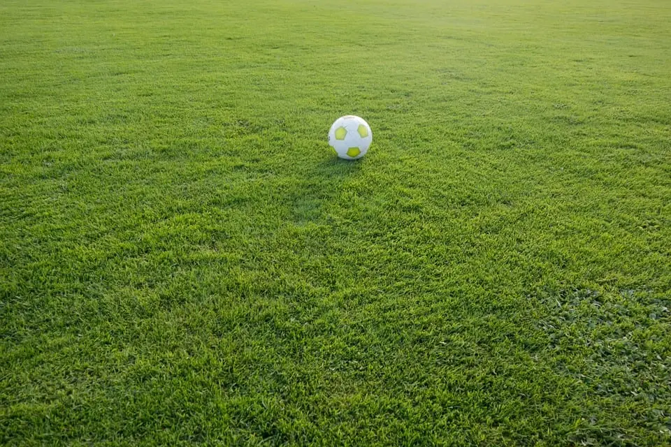 voetbal