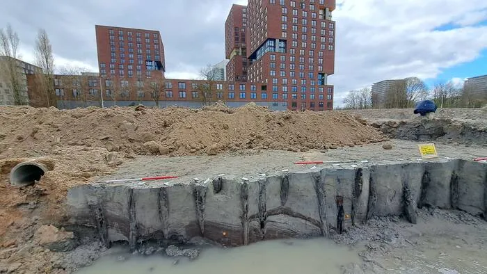 csm de ingeslagen houten palen langs de romeinse weg van rond 125 b40fdbd9ac