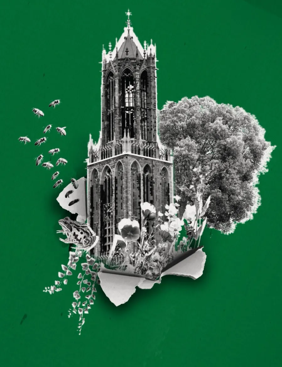 Afbeelding Tegenbegroting 2026 PvdD Utrecht