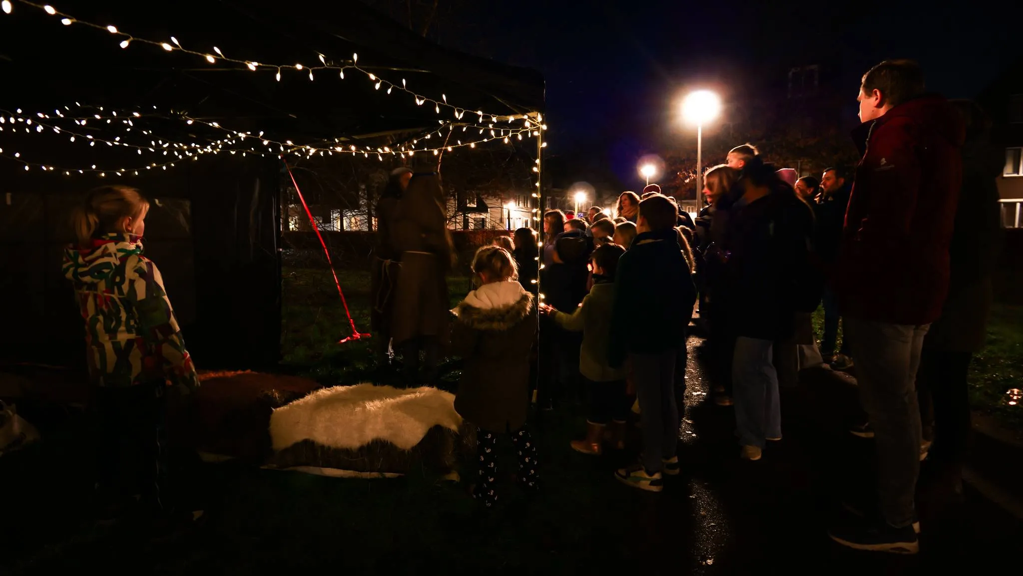 2025-kort-en-krachtig-55-633