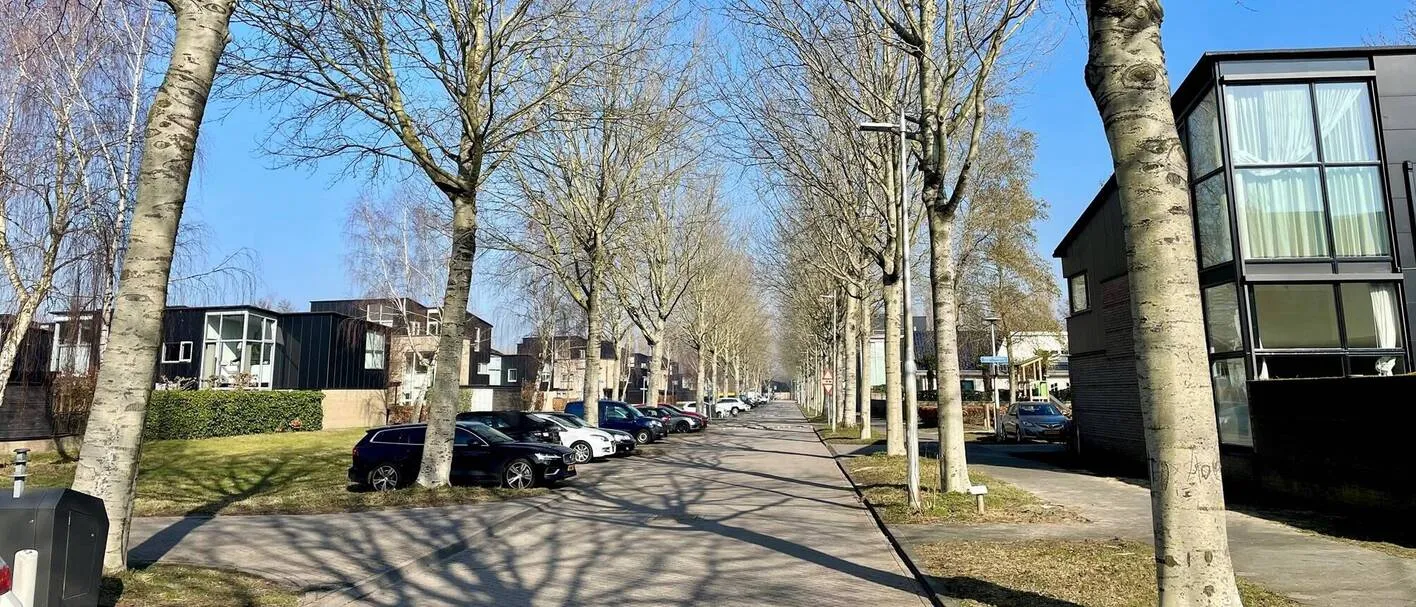 csm_Walter_Kollolaan-header_8e5f5b4f73