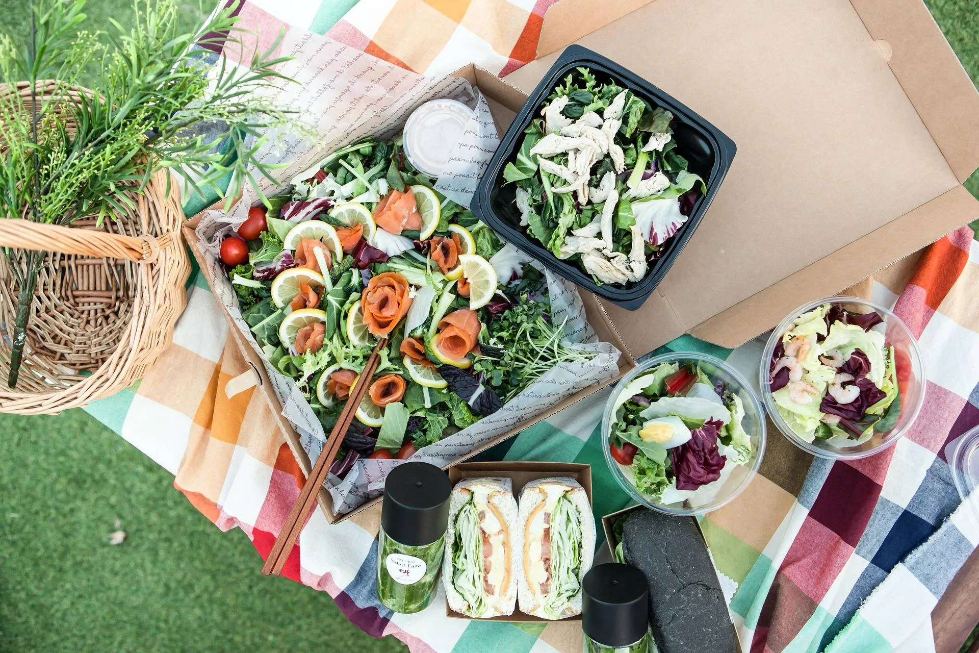 lpegasu-picnic-7644385_1920