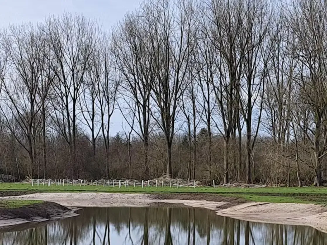 bescherming aanplant larserbos 1 het flevo landschap