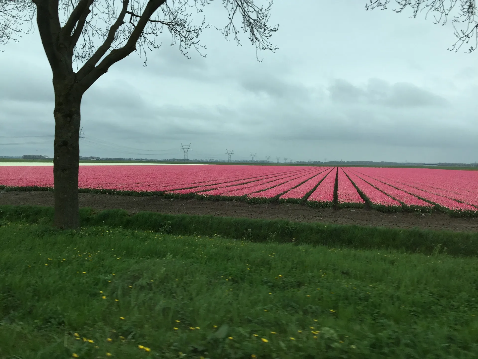 flevoland prov flevoland